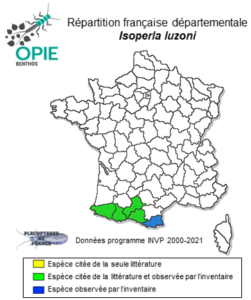 Carte de distribution de Isoperla luzoni Tierno de Figueroa & Vinçon, 2005 *