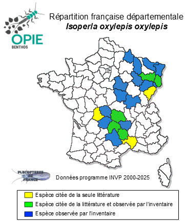 Carte de distribution de Isoperla oxylepis oxylepis (Despax, 1936)
