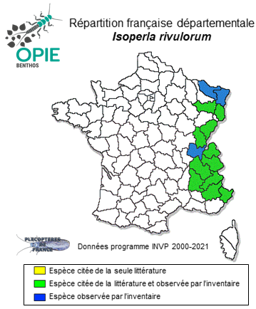Carte de distribution de Isoperla rivulorum (Pictet, 1841)