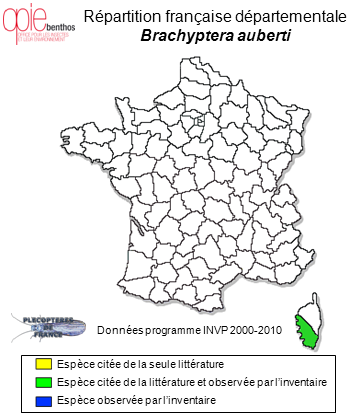 Carte de distribution de Brachyptera auberti Consiglio, 1957 *