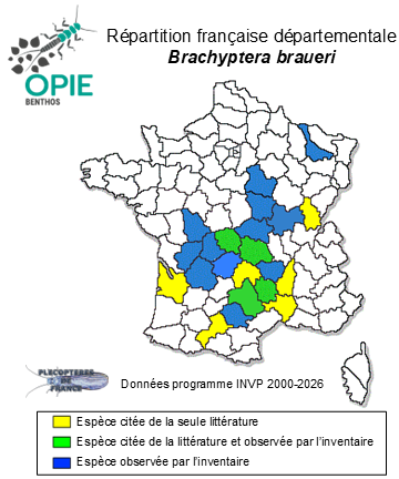 Carte de distribution de Brachyptera braueri (Klapálek, 1900)