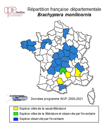 Carte de distribution de Brachyptera monilicornis (Pictet, 1841)