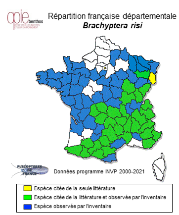 Carte de distribution de Brachyptera risi (Morton, 1896)