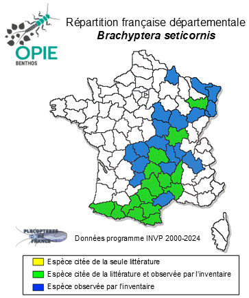 Carte de distribution de Brachyptera seticornis (Klapálek, 1902)