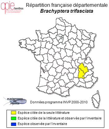 Carte de distribution de Brachyptera trifasciata (Pictet, 1832)