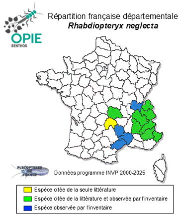 Carte de distribution de Rhabdiopteryx neglecta (Albarda, 1889)