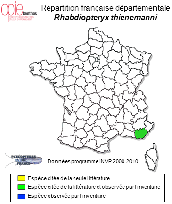Carte de distribution de Rhabdiopteryx thienemanni Illies, 1957