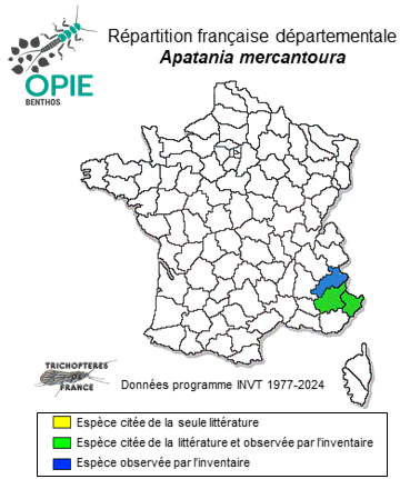 Carte de distribution de Apatania mercantoura Botosaneanu & Giudicelli, 2004