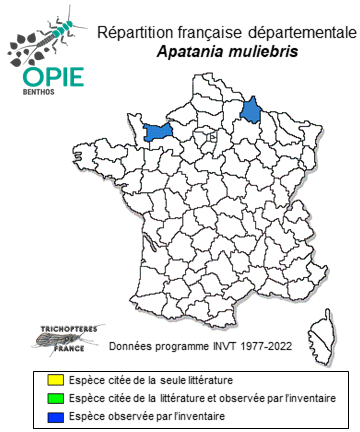 Carte de distribution de Apatania muliebris MacLachlan, 1866