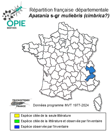 Carte de distribution de Apatania s-gr muliebris Schmid 1954 (cimbrica Nielsen, 1950 ?)