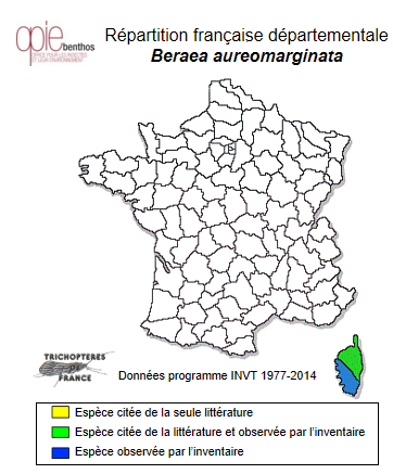 Carte de distribution de Beraea aureomarginata Mosely ,1930