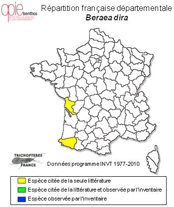 Carte de distribution de Beraea dira MacLachlan, 1875