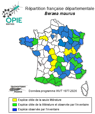 Carte de distribution de Beraea maurus (Curtis, 1834)