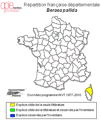Carte de distribution de Beraea pallida Mosely, 1930