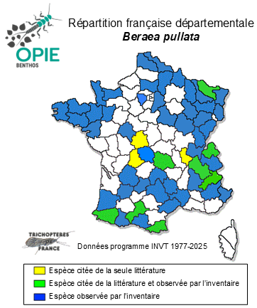 Carte de distribution de Beraea pullata (Curtis, 1834)