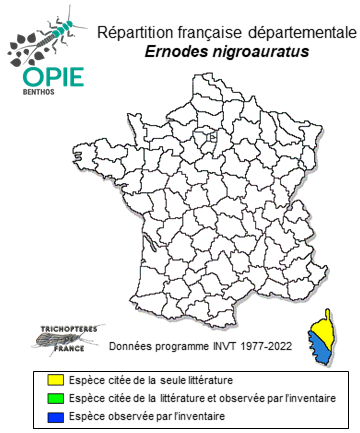Carte de distribution de Ernodes nigroauratus Mosely, 1930