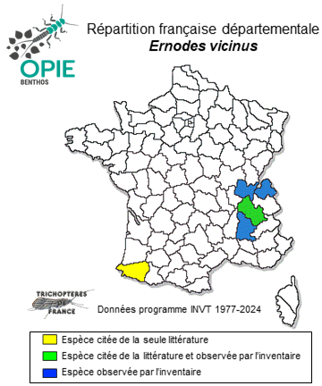 Carte de distribution de Ernodes vicinus (MacLachlan, 1879)