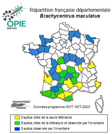 Carte de distribution de Brachycentrus maculatus (Fourcroy, 1785)
