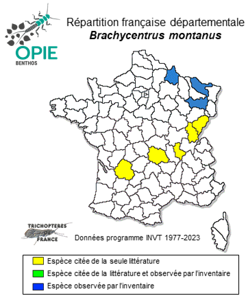 Carte de distribution de Brachycentrus montanus Klapálek, 1892