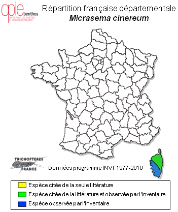 Carte de distribution de Micrasema cinereum Mosely, 1930