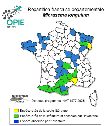 Carte de distribution de Micrasema longulum MacLachlan, 1876