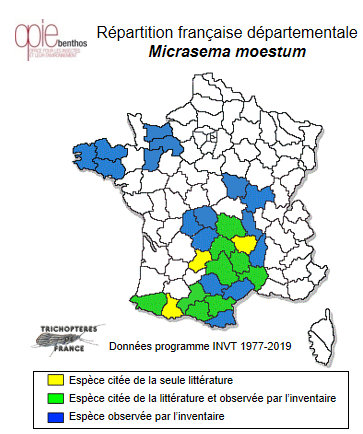Carte de distribution de Micrasema moestum (Hagen, 1868)