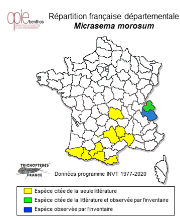 Carte de distribution de Micrasema morosum (MacLachlan, 1868)