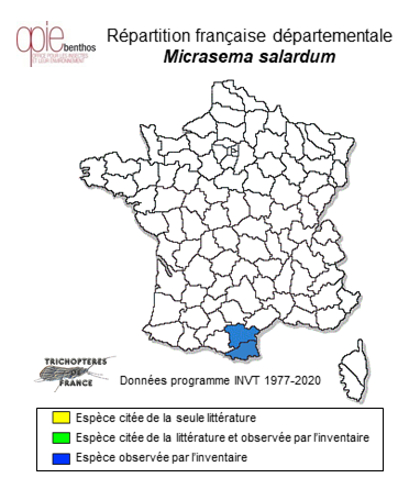 Carte de distribution de Micrasema salardum Schmid, 1952