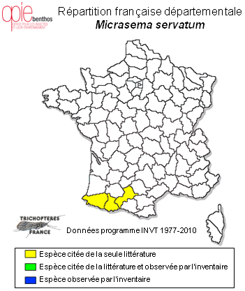 Carte de distribution de Micrasema servatum (Navás, 1918)