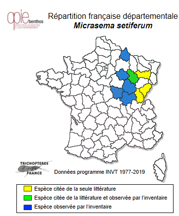 Carte de distribution de Micrasema setiferum (Pictet, 1834)