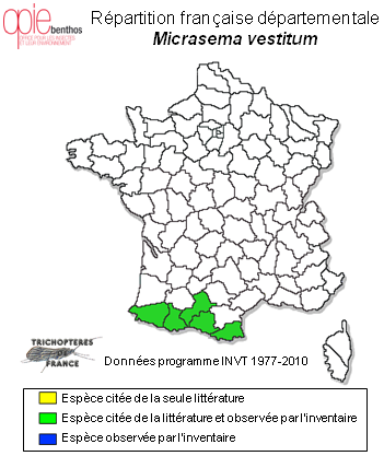 Carte de distribution de Micrasema vestitum Navás, 1918