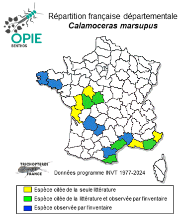 Carte de distribution de Calamoceras marsupus Brauer, 1865