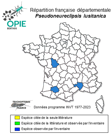 Carte de distribution de Pseudoneureclipsis lusitanica Malicky, 1980