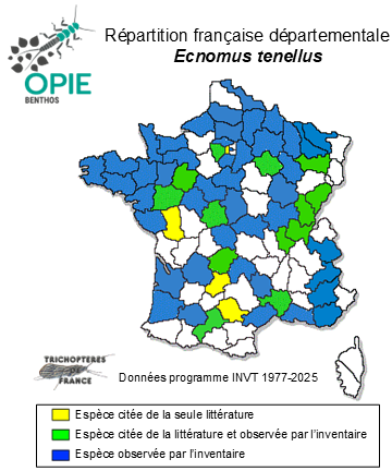 Carte de distribution de Ecnomus tenellus (Rambur, 1842)