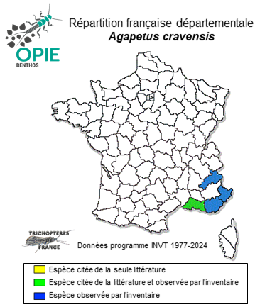 Carte de distribution de Agapetus cravensis Giudicelli, 1973