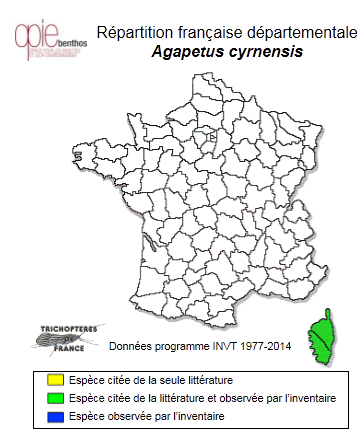 Carte de distribution de Agapetus cyrnensis Mosely, 1930
