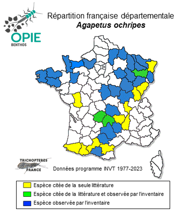 Carte de distribution de Agapetus ochripes Curtis, 1834