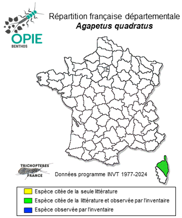 Carte de distribution de Agapetus quadratus Mosely, 1930