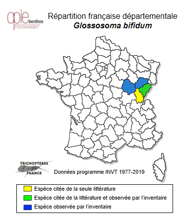 Carte de distribution de Glossosoma bifidum MacLachlan, 1879