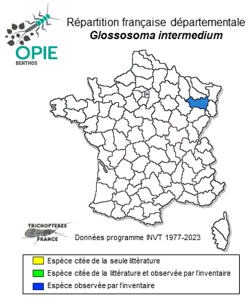 Carte de distribution de Glossosoma intermedium (Klapálek, 1892)