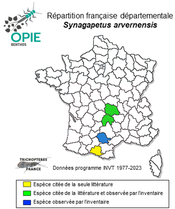 Carte de distribution de Synagapetus arvernensis Malicky, 1980