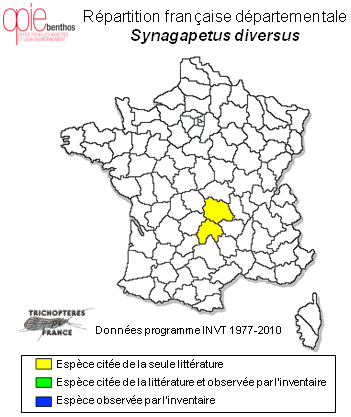 Carte de distribution de Synagapetus diversus (MacLachlan, 1884)