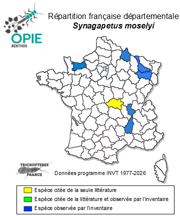 Carte de distribution de Synagapetus moselyi (Ulmer, 1938)