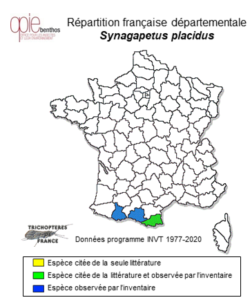 Carte de distribution de Synagapetus placidus (Navás, 1918)