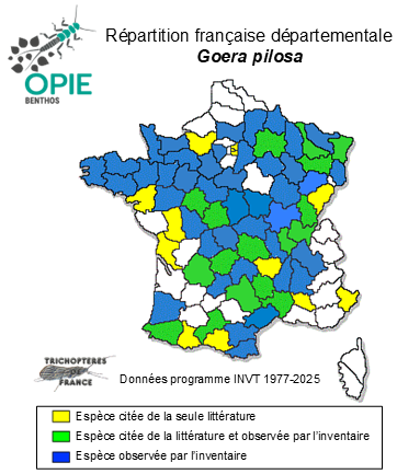 Carte de distribution de Goera pilosa (Fabricius, 1775)