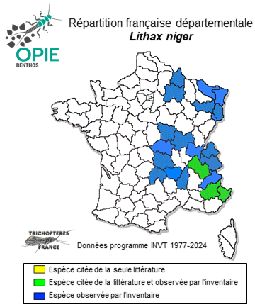 Carte de distribution de Lithax niger (Hagen, 1859)