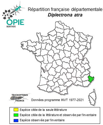 Carte de distribution de Diplectrona atra MacLachlan, 1878