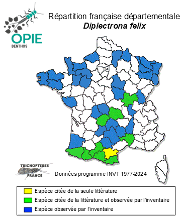 Carte de distribution de Diplectrona felix MacLachlan, 1878