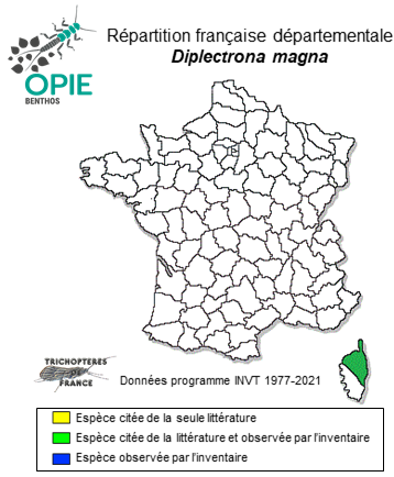 Carte de distribution de Diplectrona magna Mosely, 1930