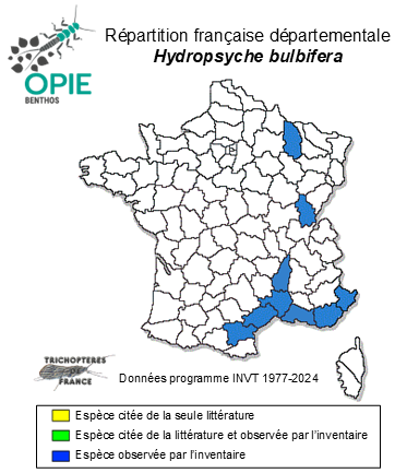 Carte de distribution de Hydropsyche bulbifera MacLachlan, 1878